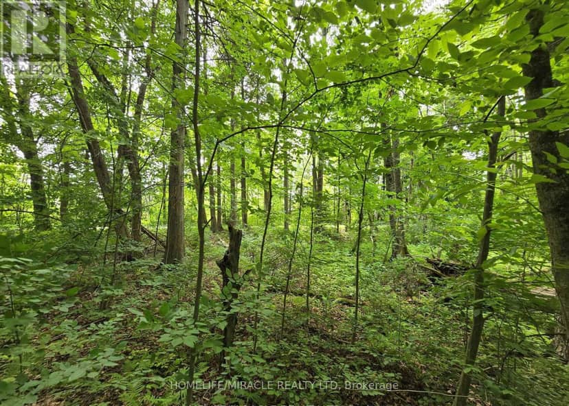 000 Cedar Sands Road, Rideau Lakes, photo 2