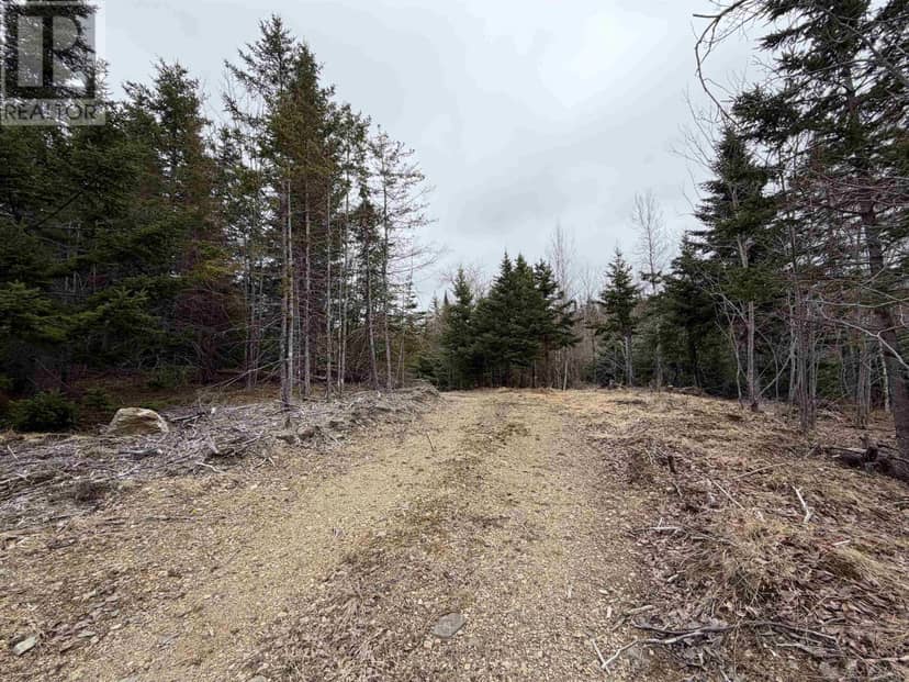 Lot 22-3 226 Brookville Branch Road — photo 4 of 8