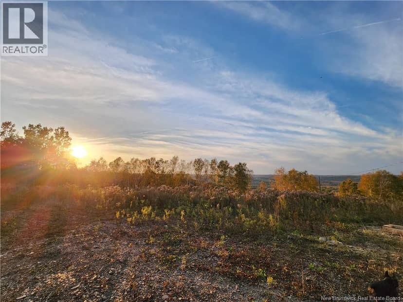 304 Foley Brook, New Denmark, photo 5