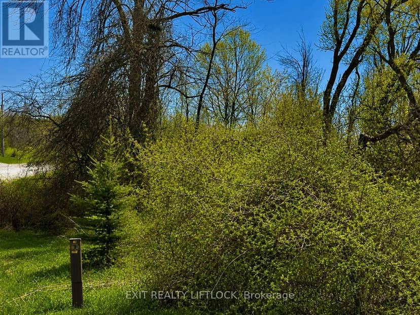 0 Maple Ridge Drive — photo 4 of 4