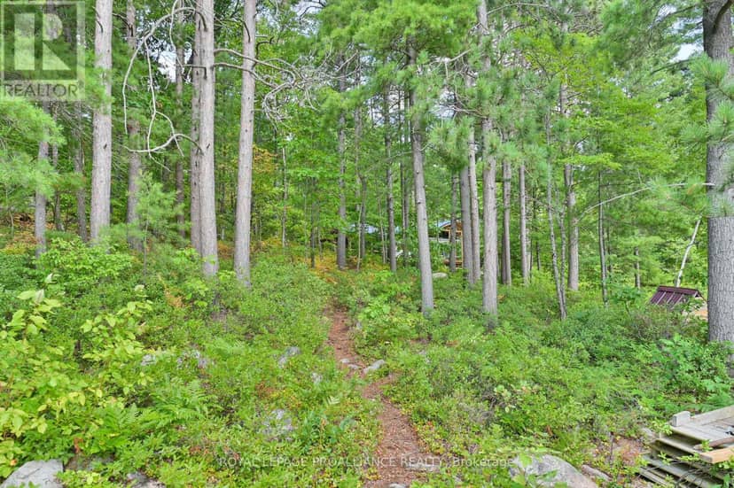 1780 Mazinaw Lake — photo 29 of 40