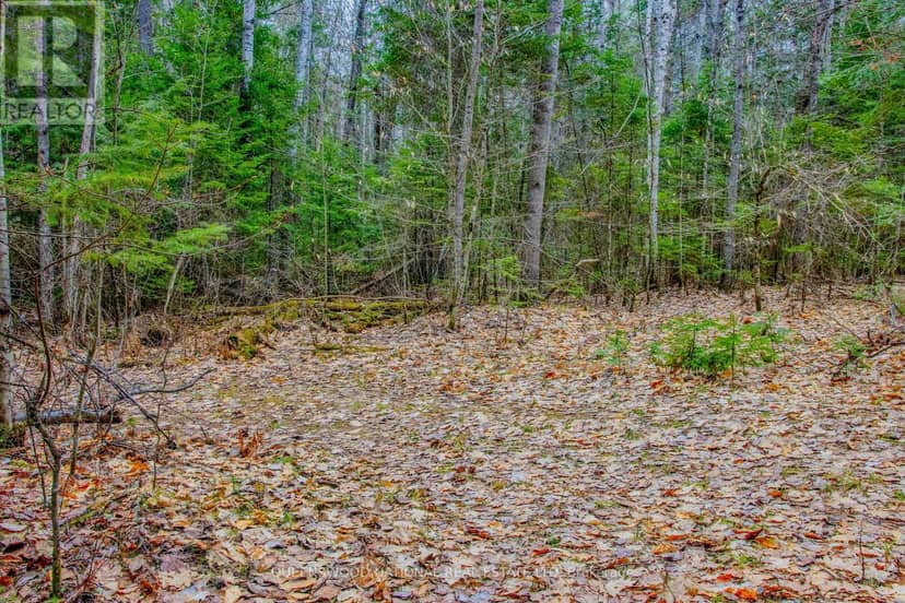 0 Lower Craigmont Road, Madawaska Valley, photo 6