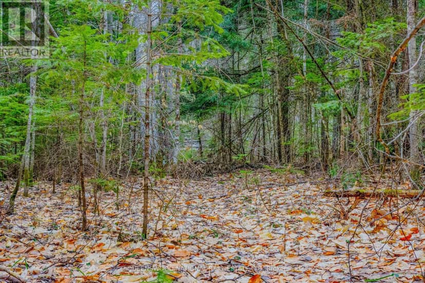 0 Lower Craigmont Road, Madawaska Valley, photo 7