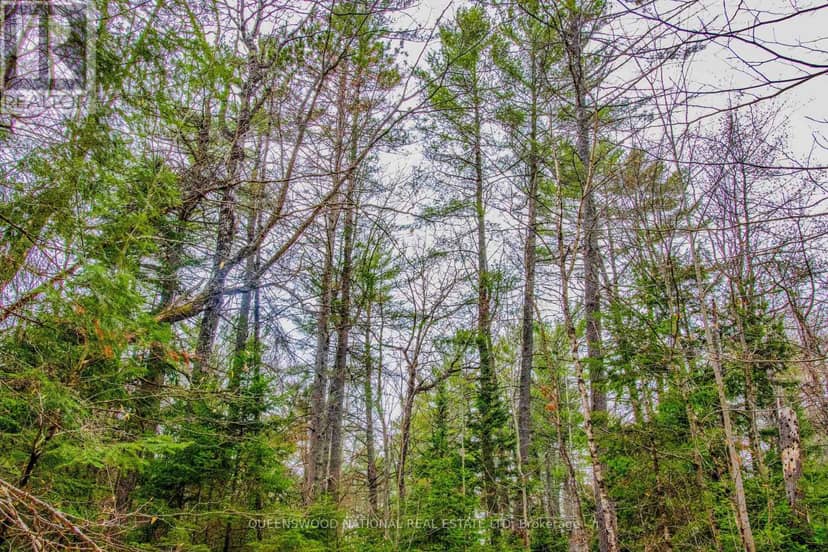 0 Lower Craigmont Road, Madawaska Valley, photo 8