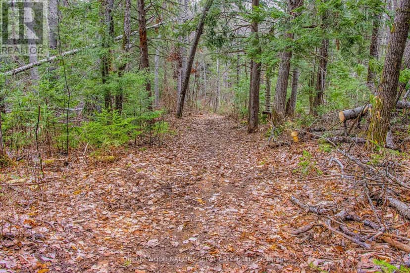 00 Lower Craigmont Road, Madawaska Valley, photo 4