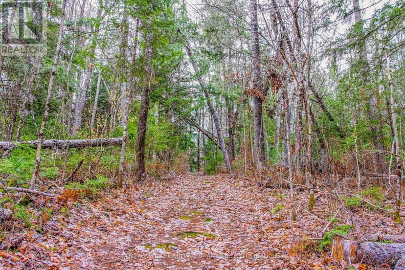 00 Lower Craigmont Road, Madawaska Valley, photo 6