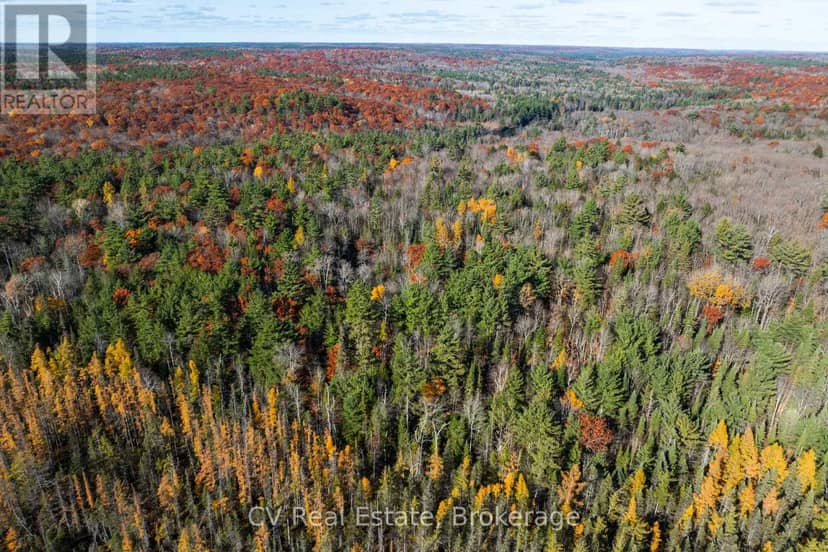 0 Fairy Falls Road — photo 17 of 29