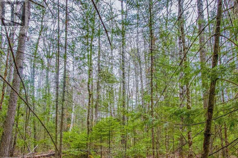000 Lower Craigmont Road — photo 21 of 32