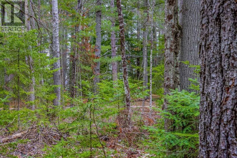 000 Lower Craigmont Road, Madawaska Valley, photo 4
