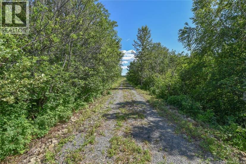 Lot Boul St-Pierre O, Caraquet, photo 3