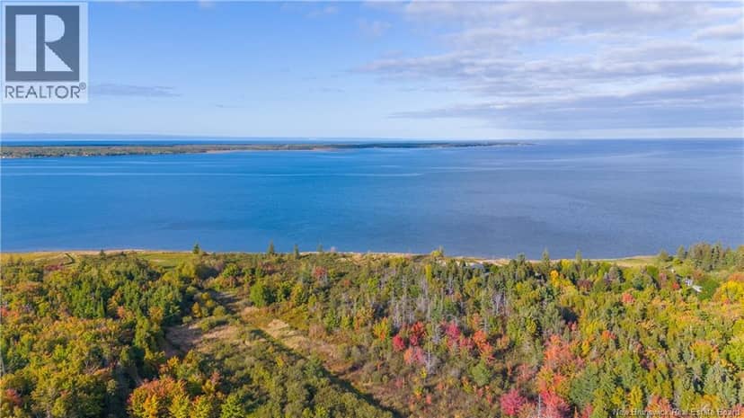 Lot Boul St-Pierre O, Caraquet, photo 8