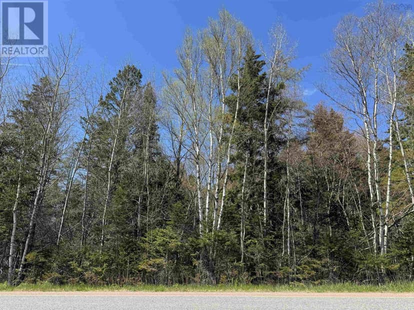 Lot 4 Highway 509 — photo 1 of 4
