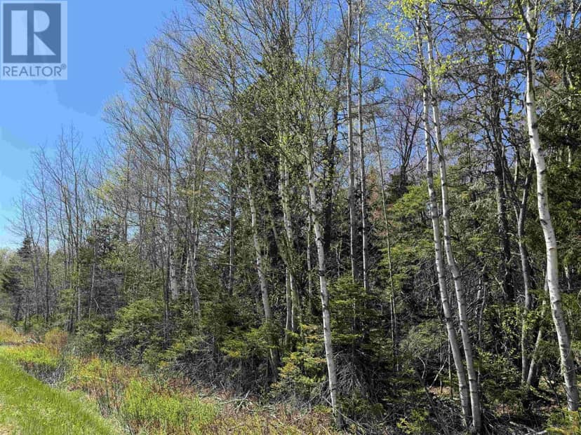 Lot 4 Highway 509 — photo 2 of 4
