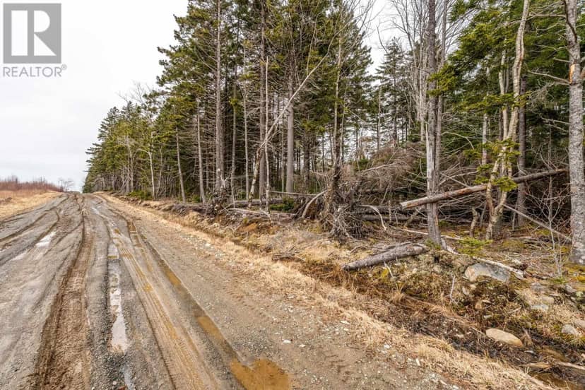 Lot Grosses Coque Road — photo 11 of 12