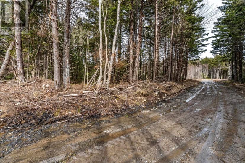 Lot Grosses Coque Road — photo 12 of 12