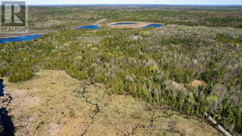 00 Ashdad Rd Road — photo 1 of 17