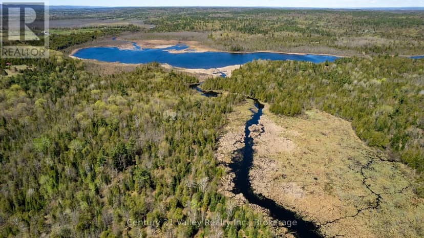 00 Ashdad Rd Road — photo 14 of 17