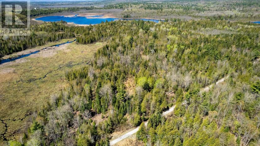 00 Ashdad Rd Road — photo 4 of 17