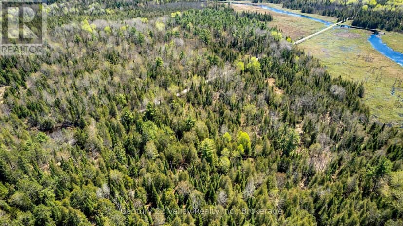 00 Ashdad Rd Road — photo 9 of 17
