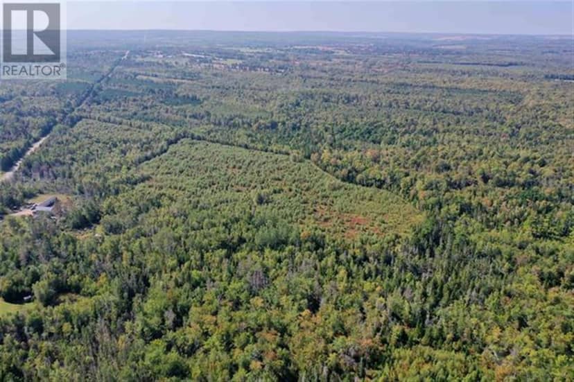 Lot 59 RTE 315, Wood Island Road — photo 9 of 15