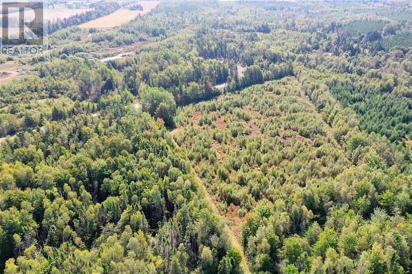 Lot 59 RTE 315, Wood Island Road — photo 12 of 15