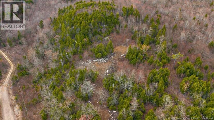 Lot 6-1191 Route 785 — photo 14 of 28