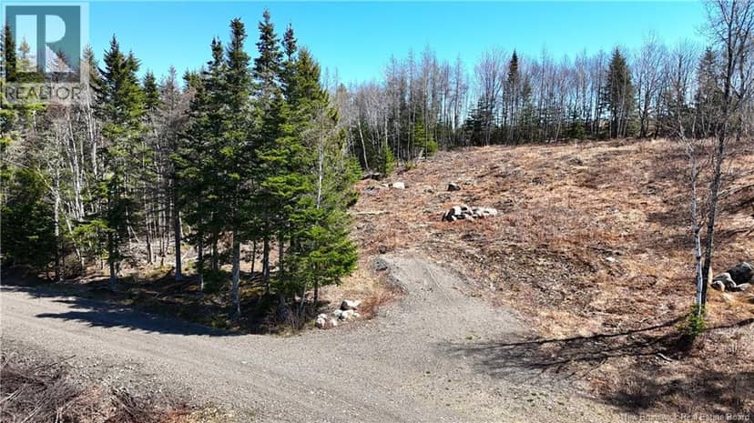 Lot 18-02 Damian Lane — photo 3 of 13