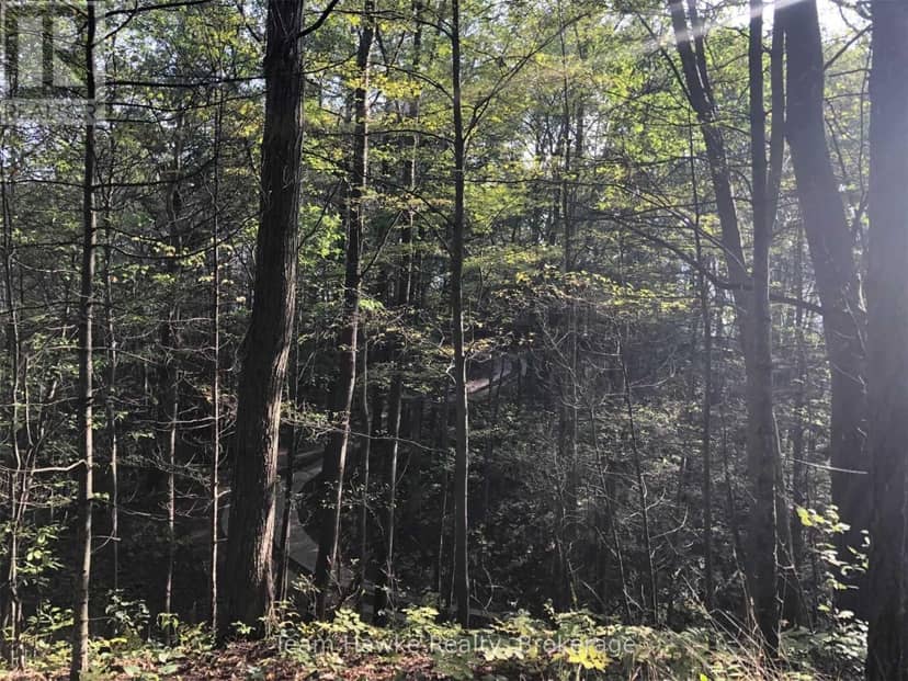 358 Golf Course Road — photo 3 of 3