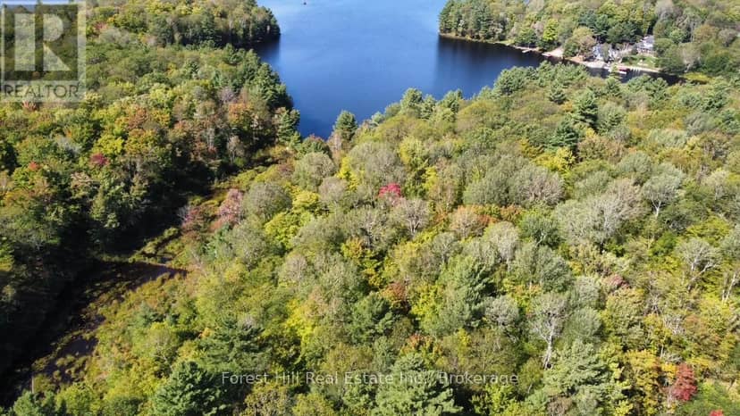 0 Clear Lake Road, Muskoka Lakes, photo 3