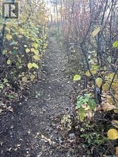 Hidden Path Acreage — photo 32 of 40
