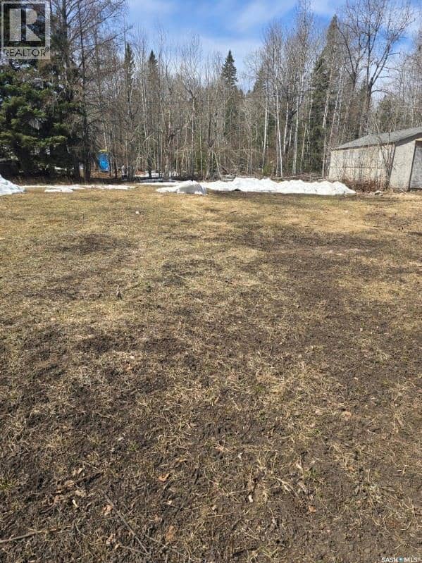 Lot 4 1st AVENUE, Preeceville Rm No. 334, photo 4