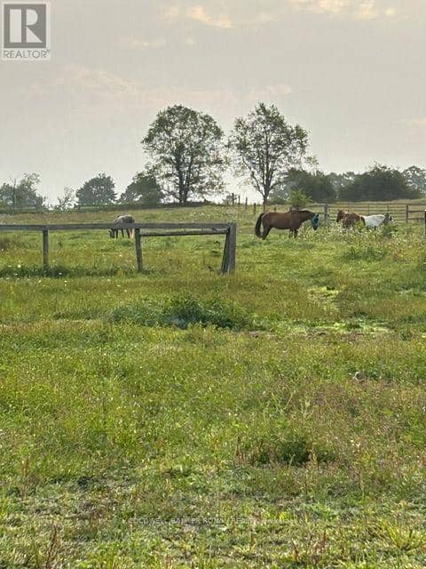 4479 2nd Line N — photo 25 of 28