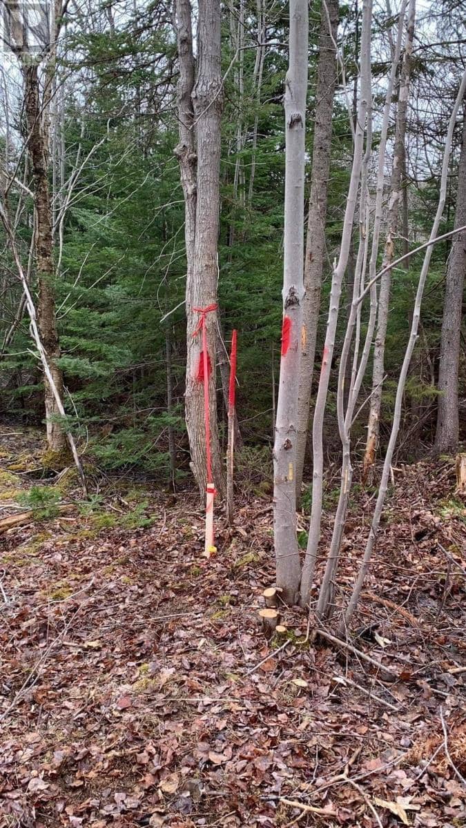 Lot 24-4 Little Harbour Road, Frasers Mountain, photo 4