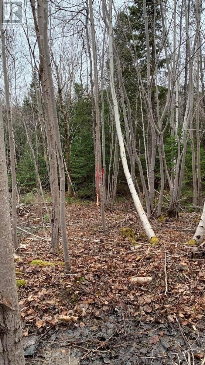 Lot 24-4 Little Harbour Road, Frasers Mountain, photo 5