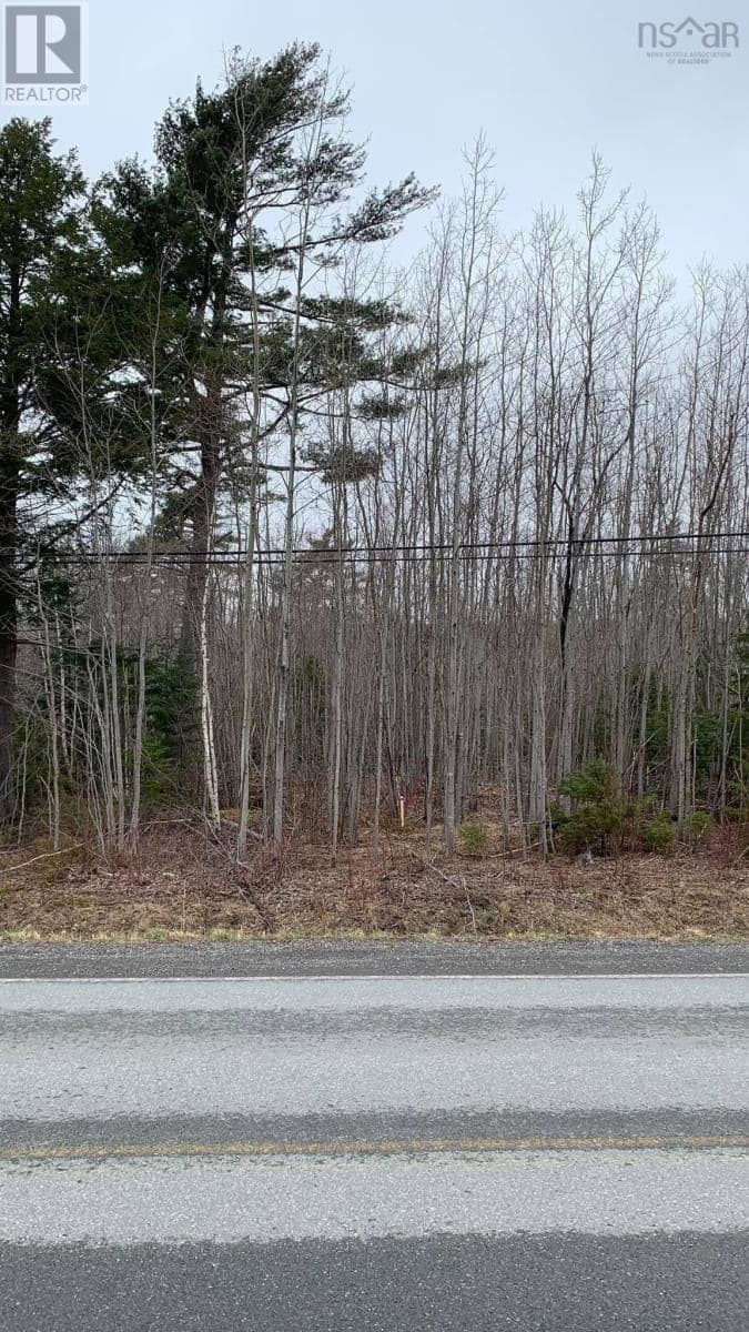 Lot 24-4 Little Harbour Road, Frasers Mountain, photo 6