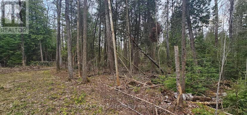 43 Hardwick Cove Road — photo 10 of 23