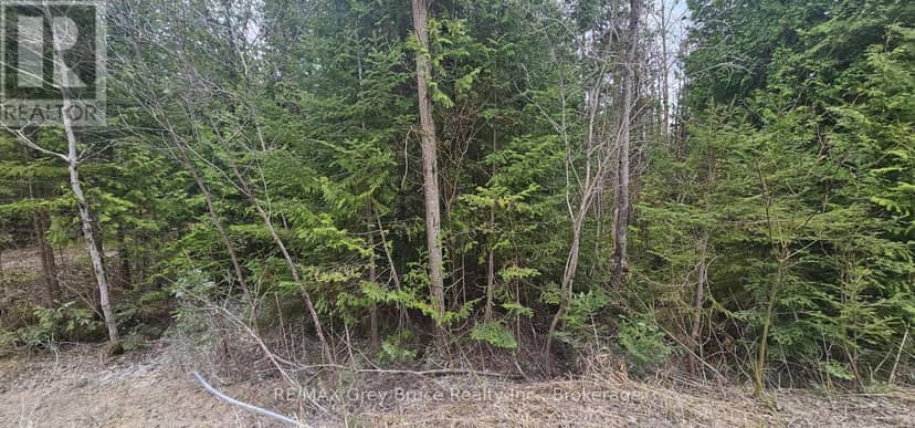 43 Hardwick Cove Road — photo 18 of 23