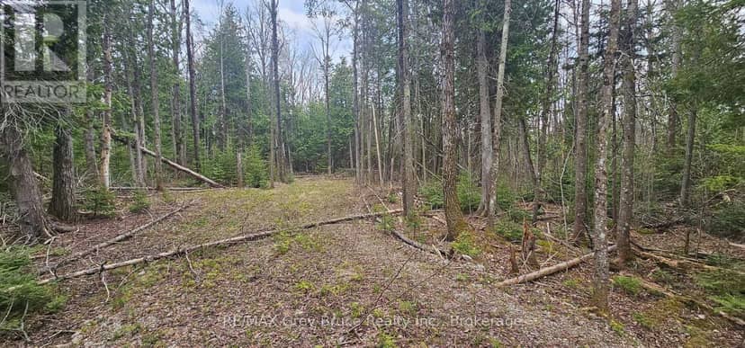 43 Hardwick Cove Road — photo 5 of 23