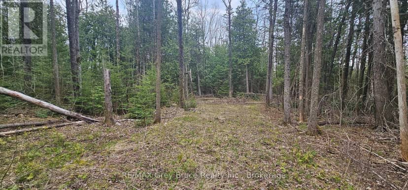43 Hardwick Cove Road — photo 9 of 23