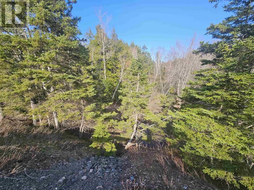 V/L 368 Highway, Wentworth, photo 7