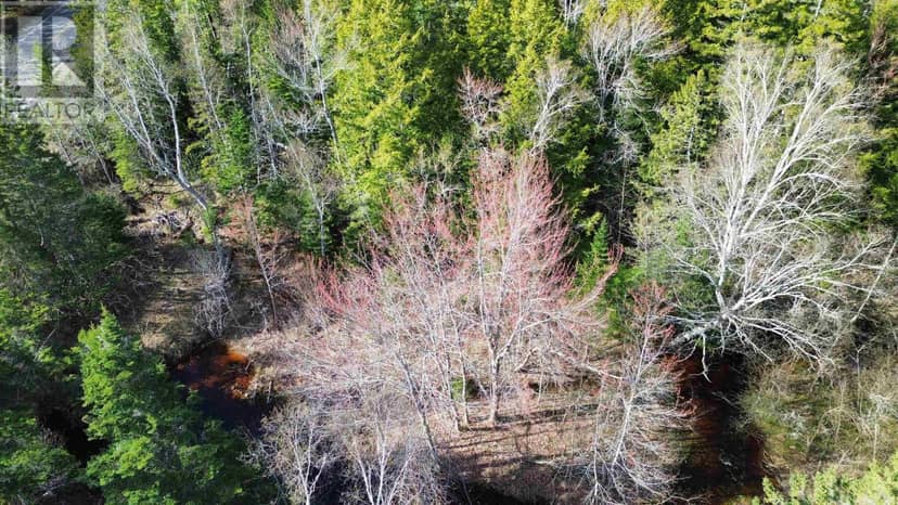 V/L 368 Highway — photo 13 of 15