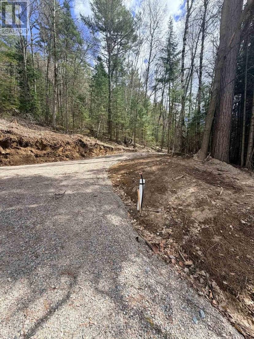 0 Highway 62 N, Bancroft, photo 3