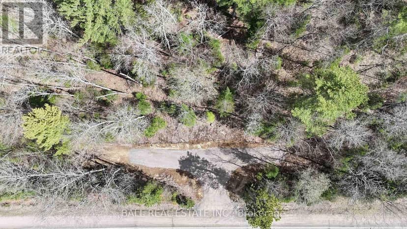 00 Highway 62 N, Bancroft, photo 6