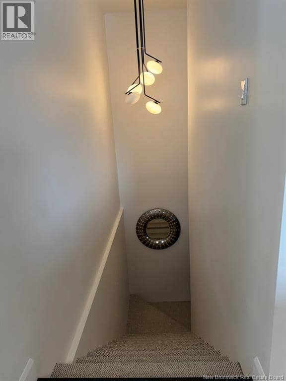 8 Louise Street — photo 25 of 40