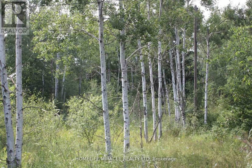 380 Highway 15 Highway, Rideau Lakes, photo 3