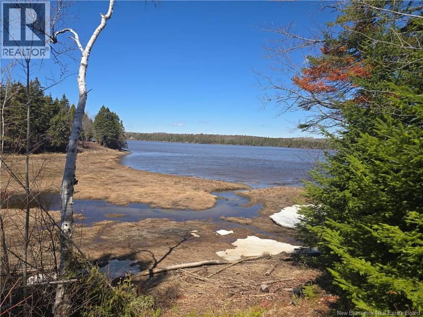 Lot 07-2 Straight Brook Road — photo 10 of 31
