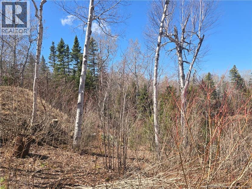 Lot 07-2 Straight Brook Road — photo 12 of 31