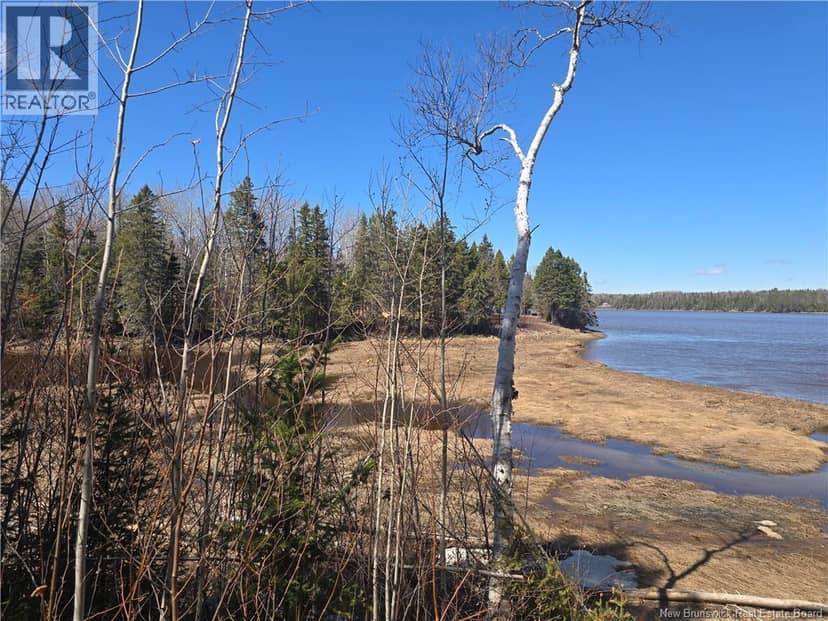 Lot 07-2 Straight Brook Road — photo 11 of 31