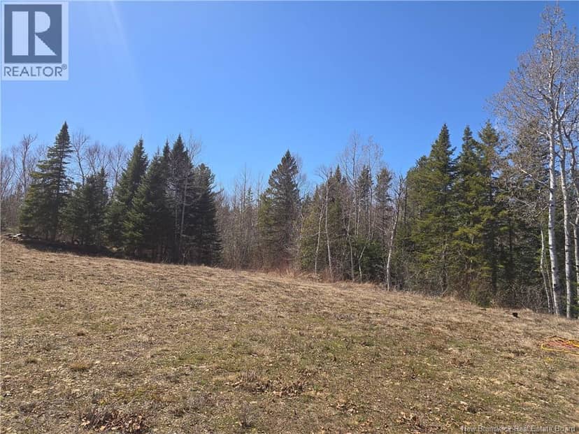 Lot 07-2 Straight Brook Road — photo 27 of 31