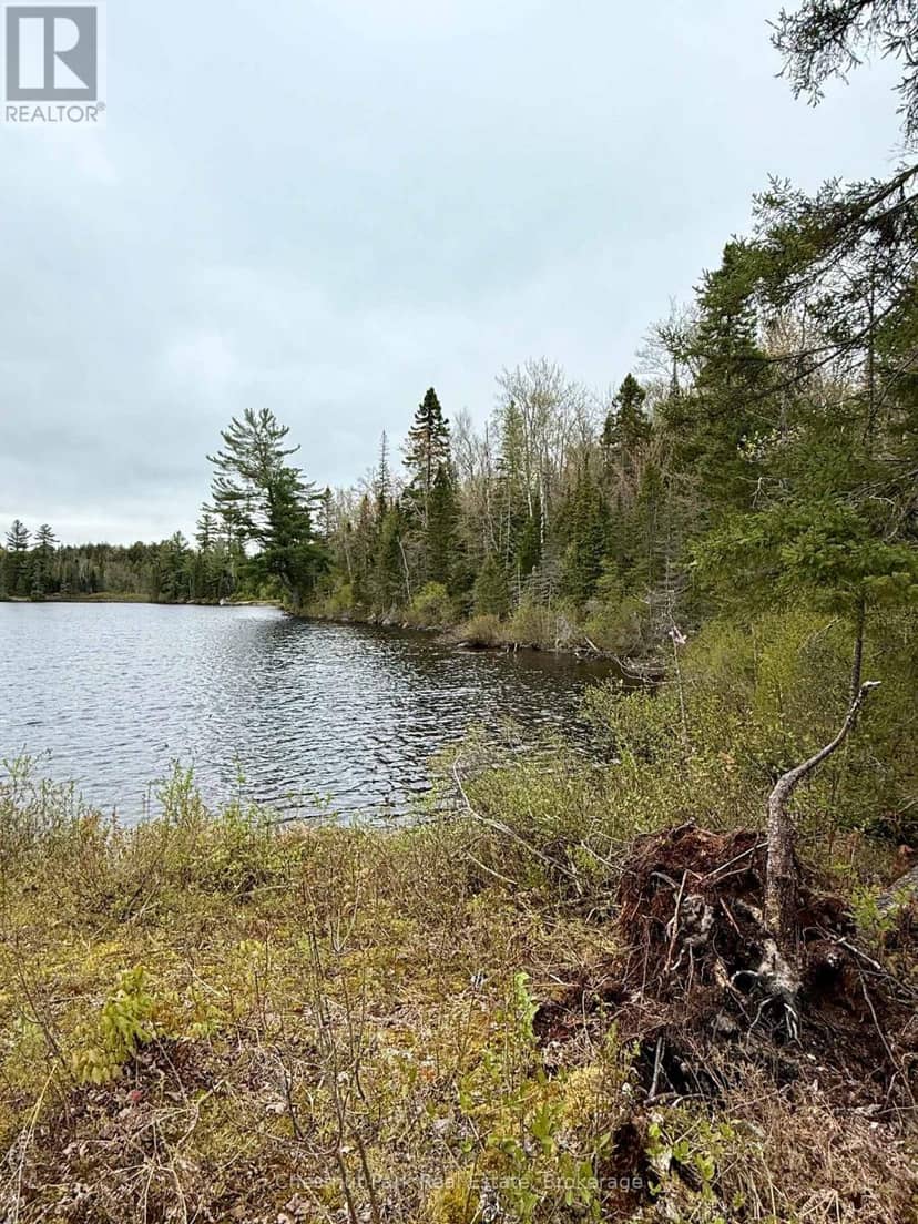 0 King Lake — photo 18 of 40